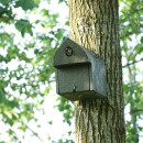 Nest box with oval entrance hole e.g. for great tit, house sparrow, tree sparrow, nuthatch, eurasian wryneck &amp; bats, such as: Natterers bat, brown long-eared bat