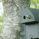 Nest box for small tits with two 27mm entry holes e.g. for blue tit, marsh tit, coal tit and crested tit