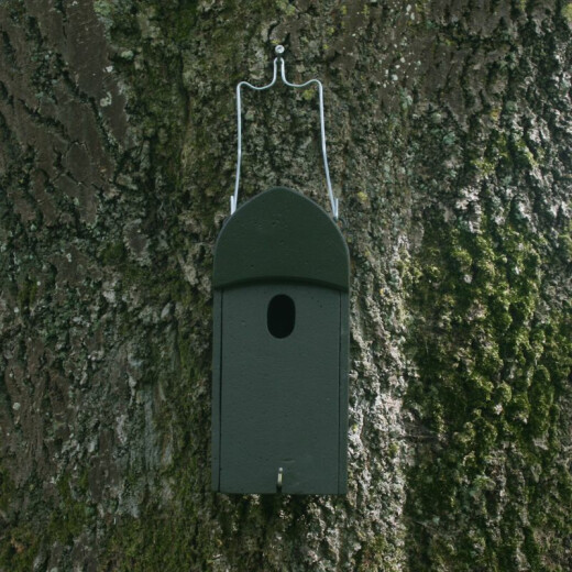 Universal nest box with oval entrance hole