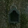 Bird box with 48 mm entrance hole for e.g. starlings & redstarts