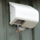 Nest box half-cavity breeders for wall mounting e.g. for black redstart, wagtail, granfly and sparrow