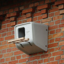 Common kestrel facade nest box