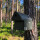 nesting box with 30mm entry hole for pied flycatchers